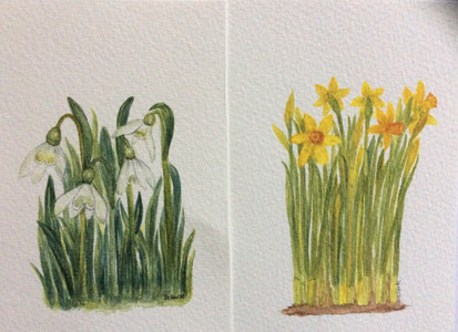 Dorothy. Spring flowers for greeting cards, watercolour. 1.21.JPG